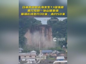 8x8x 华人海外：视频聊天通讯，跨越国界连接亲情