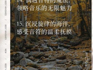 大棒与温柔：探究音乐的魅力