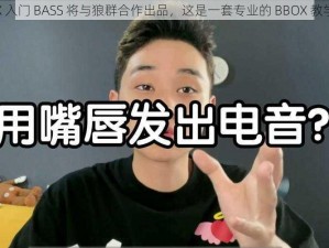 BBOX 入门 BASS 将与狼群合作出品，这是一套专业的 BBOX 教学课程