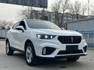 WEYVV5 国产的 SUV 视频：带你领略时尚与科技的完美结合