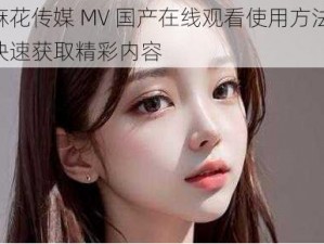 麻花传媒 MV 国产在线观看使用方法，快速获取精彩内容