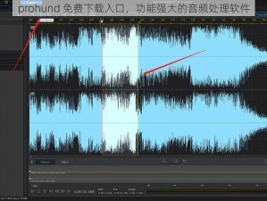 prohund 免费下载入口，功能强大的音频处理软件