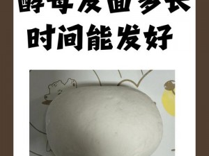 酵母发面最佳时长揭秘：超过多久会影响面点品质？发面时间不宜过长，最长不应超过多久？