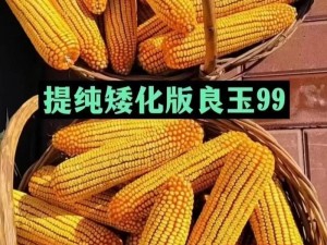 高品质国货，实力与颜值并存的国产精品 99