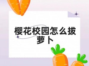 黄www禁止 男女拔萝卜——一款让你感受新奇刺激的趣味游戏