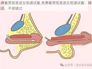 免费看男阳茎进女阳道试看,免费看男阳茎进女阳道试看：精彩画面，不容错过