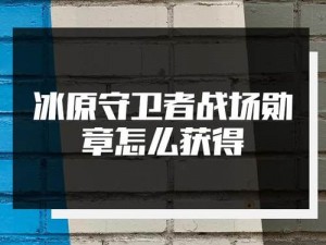 揭秘冰原战地荣誉——如何获取冰原守卫者战场勋章？