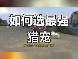 猎人40级宝典：选择合适的宠物抓捕攻略