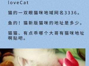 猫咪海外最新地域网名是：猫咪海外，连接全球的网络世界