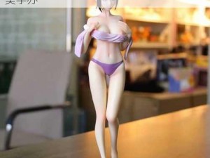 夏日祭雏田乳量过大——具有收藏价值的精美手办