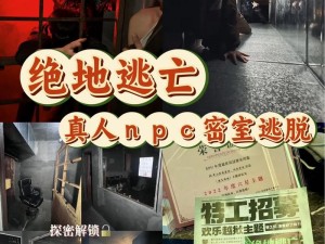 逻辑考验：密室逃脱之恐怖阴影下的生存之旅