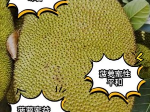 亚精产品一三三三菠萝蜜 亚精产品一三三三菠萝蜜，味道如何？