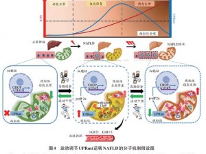 多重打击属性对多重技能实战影响探究：技能施展的多元效应解析