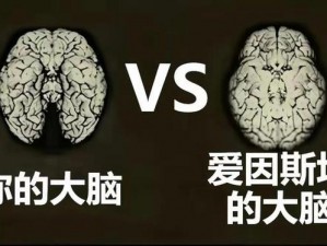 关于难道他真是个天才的深意探讨：究竟是谁在质疑他真的是个天才？