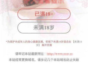 日本一涉黄网站被查