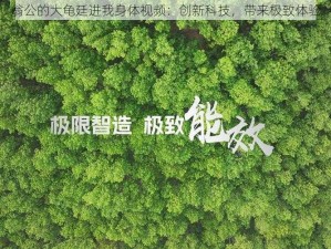 翁公的大龟廷进我身体视频：创新科技，带来极致体验