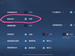 王者荣耀隐身访问功能揭秘：如何开启访客功能升级全攻略