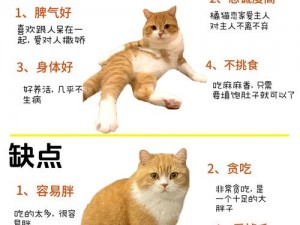 91久久国产综合久久91猫猫—如何评价91 久久国产综合久久 91 猫猫？