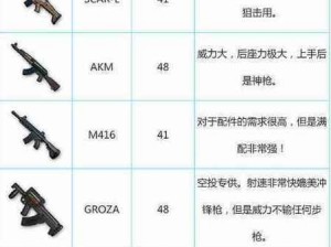 绝地求生PUBG经典艾伦格枪械实战解析：新版枪械选择与搭配策略指南