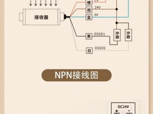 画线我最牛：详细安装步骤及高级配置指南