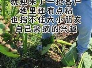 娇妻被带去农场杂交，这种高科技农产品你一定没见过