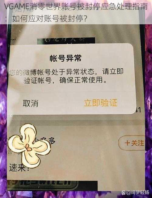 VGAME消零世界账号被封停应急处理指南：如何应对账号被封停？