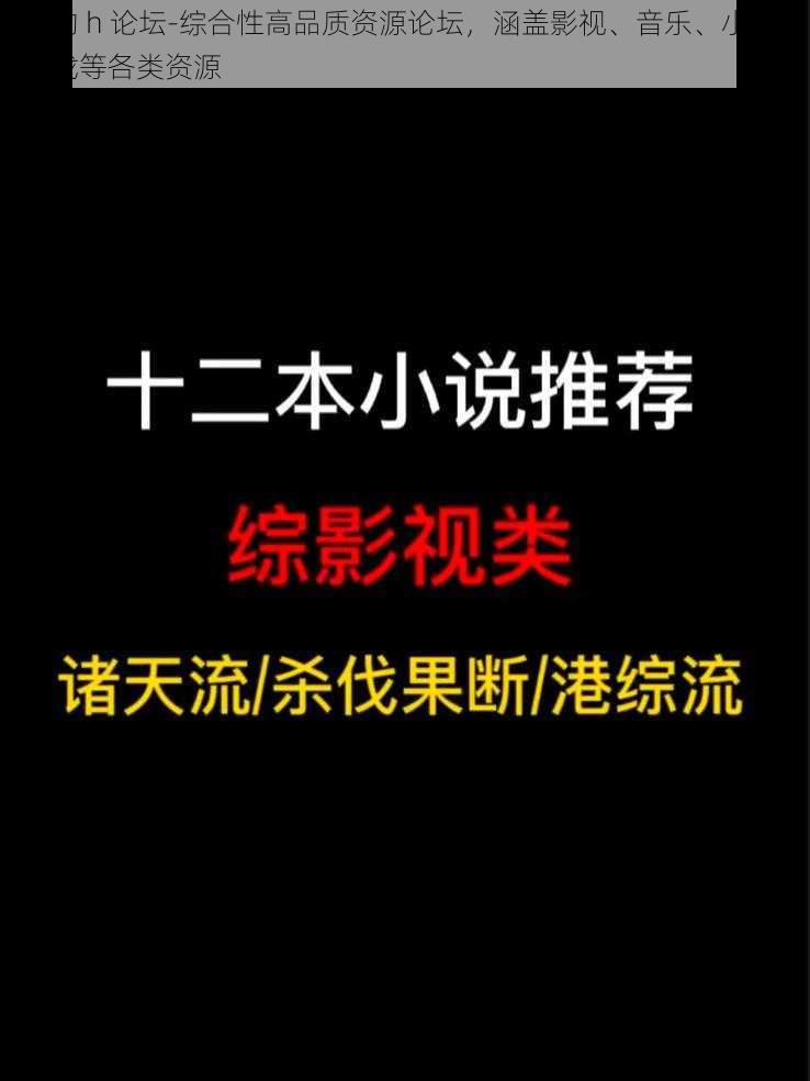 好的 h 论坛-综合性高品质资源论坛，涵盖影视、音乐、小说、游戏等各类资源