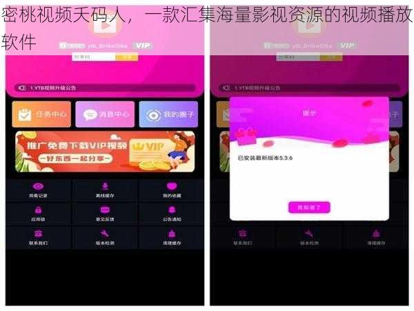 密桃视频夭码人，一款汇集海量影视资源的视频播放软件