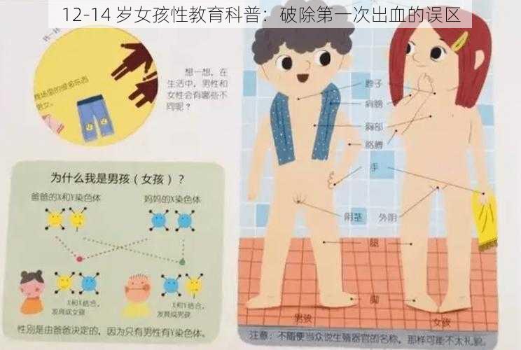 12-14 岁女孩性教育科普：破除第一次出血的误区