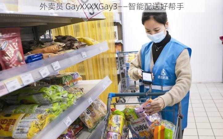 外卖员 GayXXXXGay3——智能配送好帮手