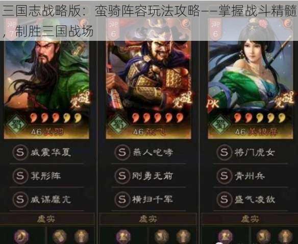 三国志战略版：蛮骑阵容玩法攻略——掌握战斗精髓，制胜三国战场