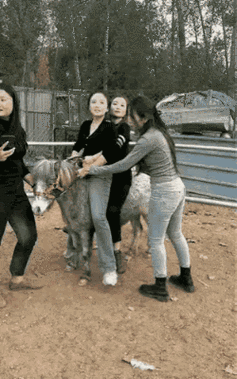 男女 gif 动态图——精彩瞬间，尽在其中