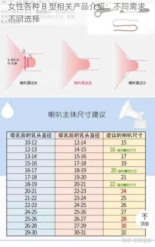 女性各种 B 型相关产品介绍：不同需求，不同选择