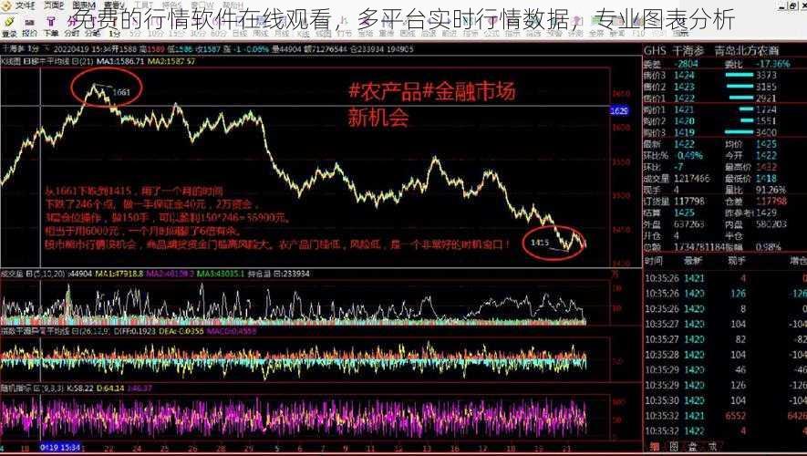 免费的行情软件在线观看，多平台实时行情数据，专业图表分析