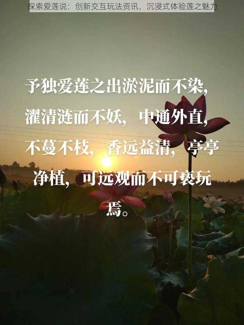 探索爱莲说：创新交互玩法资讯，沉浸式体验莲之魅力