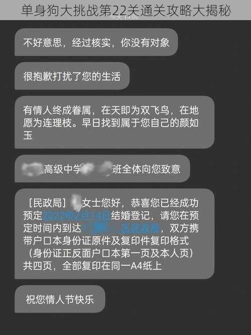 单身狗大挑战第22关通关攻略大揭秘