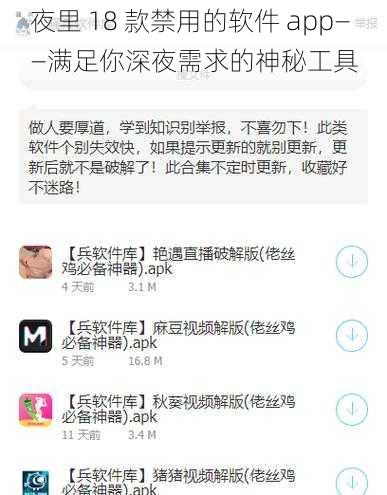 夜里 18 款禁用的软件 app——满足你深夜需求的神秘工具