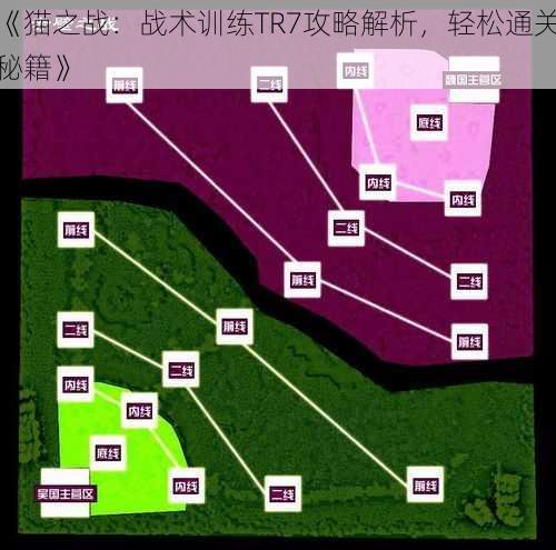 《猫之战：战术训练TR7攻略解析，轻松通关秘籍》