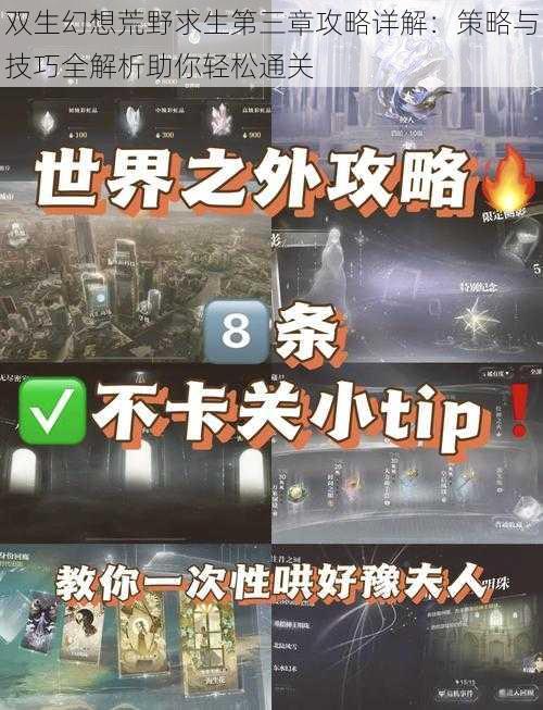 双生幻想荒野求生第三章攻略详解：策略与技巧全解析助你轻松通关