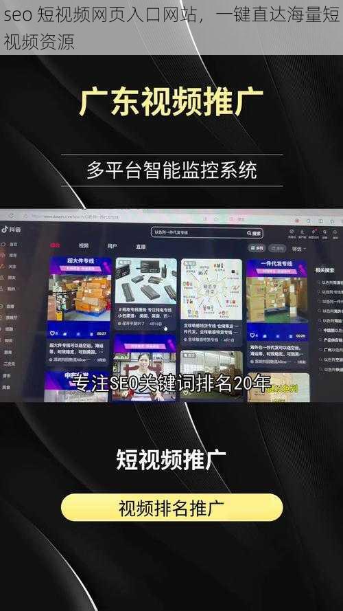 seo 短视频网页入口网站，一键直达海量短视频资源