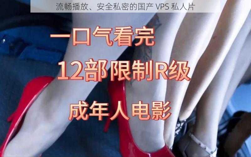 流畅播放、安全私密的国产 VPS 私人片