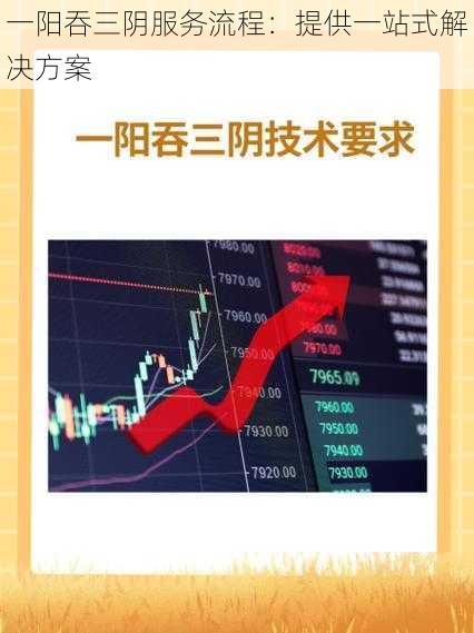 一阳吞三阴服务流程：提供一站式解决方案