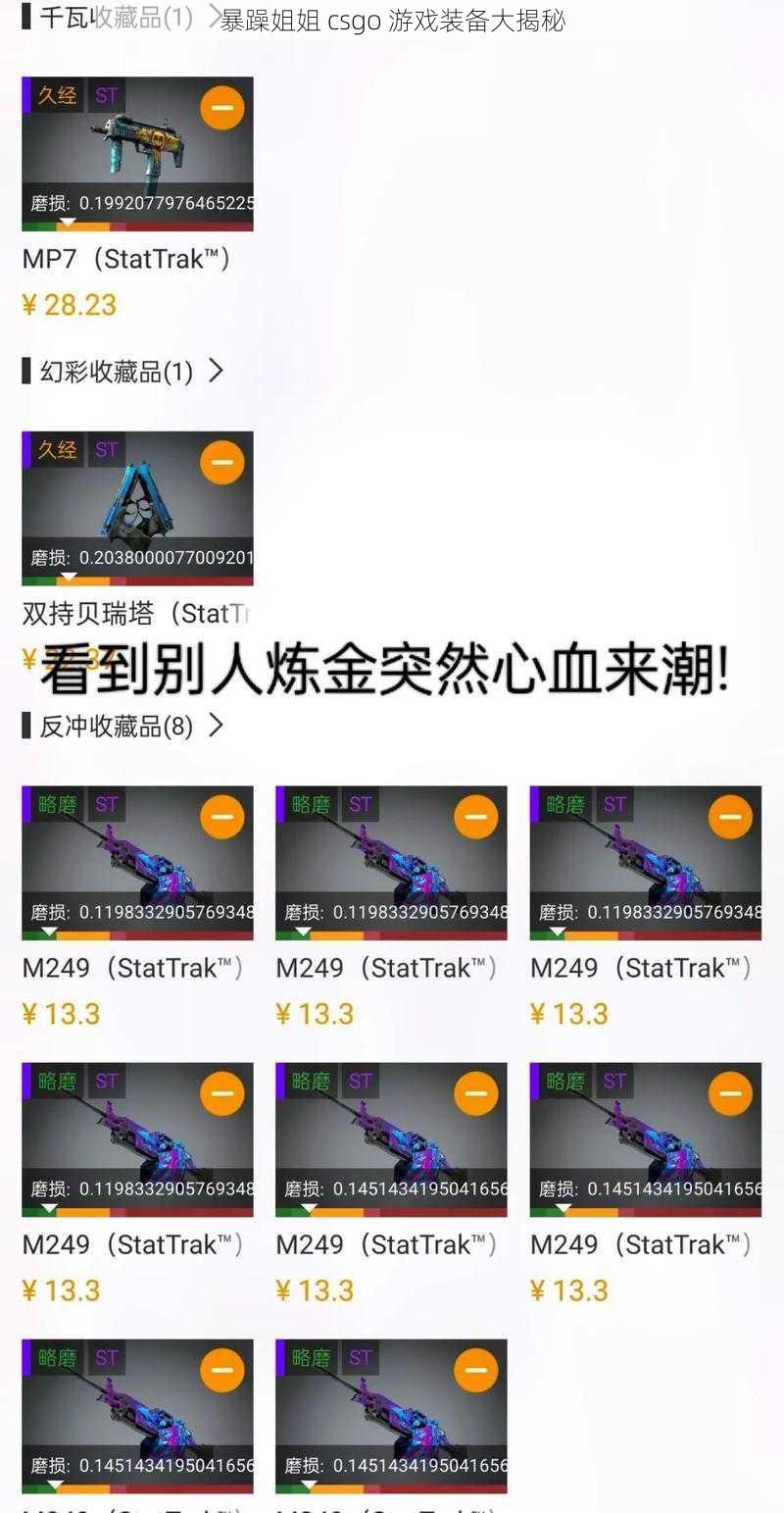 暴躁姐姐 csgo 游戏装备大揭秘