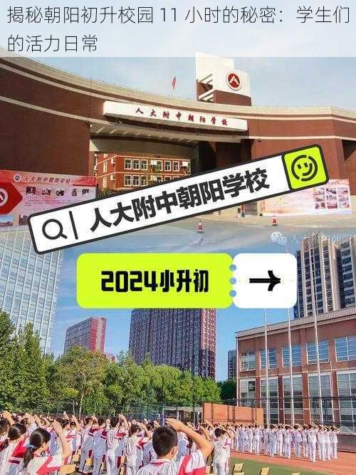 揭秘朝阳初升校园 11 小时的秘密：学生们的活力日常