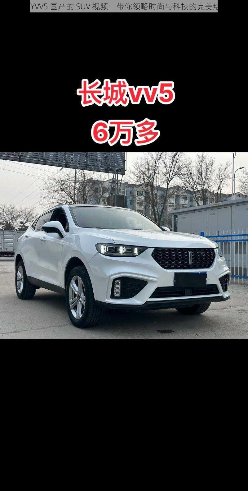 WEYVV5 国产的 SUV 视频：带你领略时尚与科技的完美结合