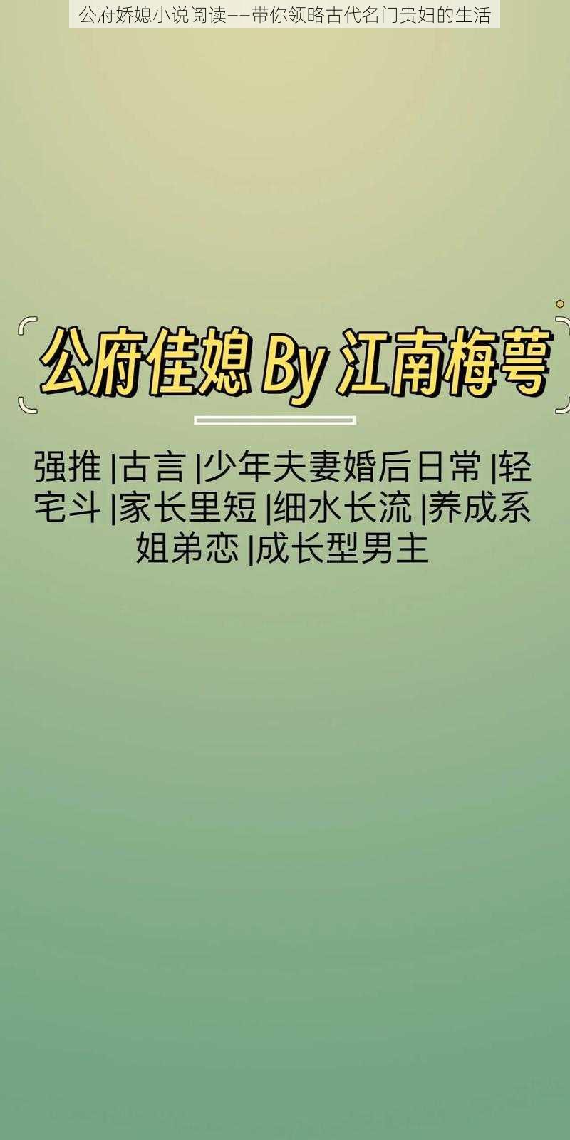 公府娇媳小说阅读——带你领略古代名门贵妇的生活