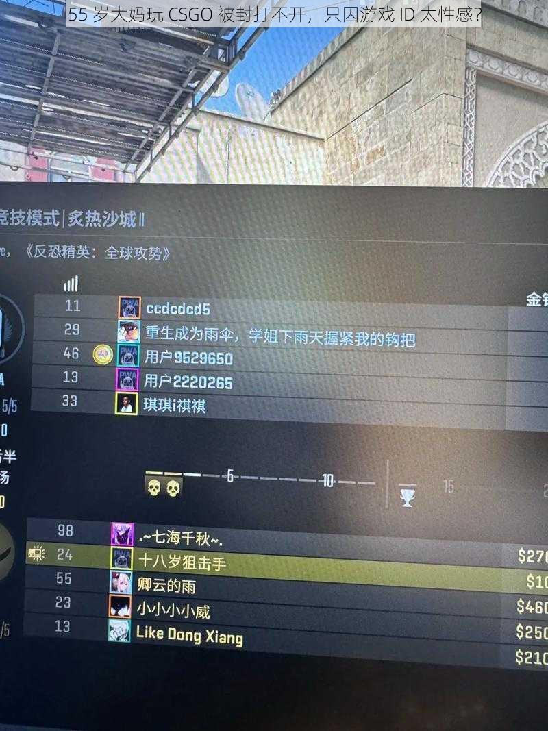 55 岁大妈玩 CSGO 被封打不开，只因游戏 ID 太性感？