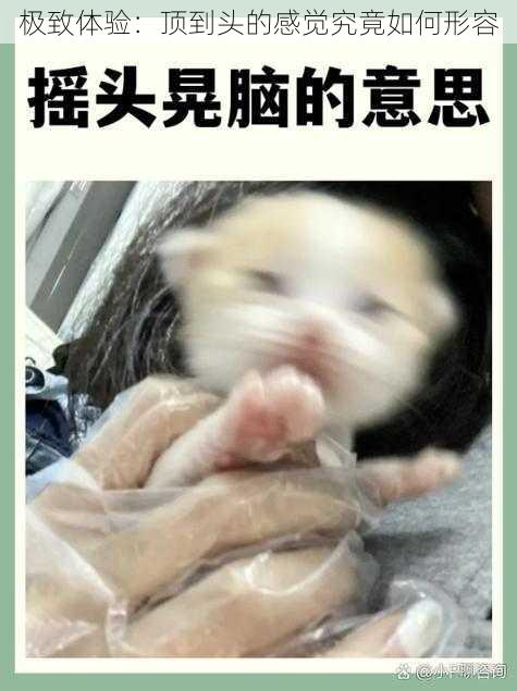 极致体验：顶到头的感觉究竟如何形容