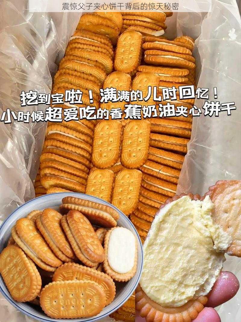 震惊父子夹心饼干背后的惊天秘密