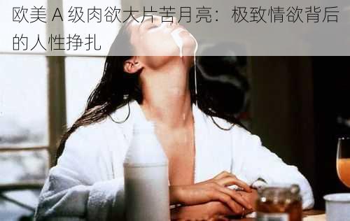 欧美 A 级肉欲大片苦月亮：极致情欲背后的人性挣扎